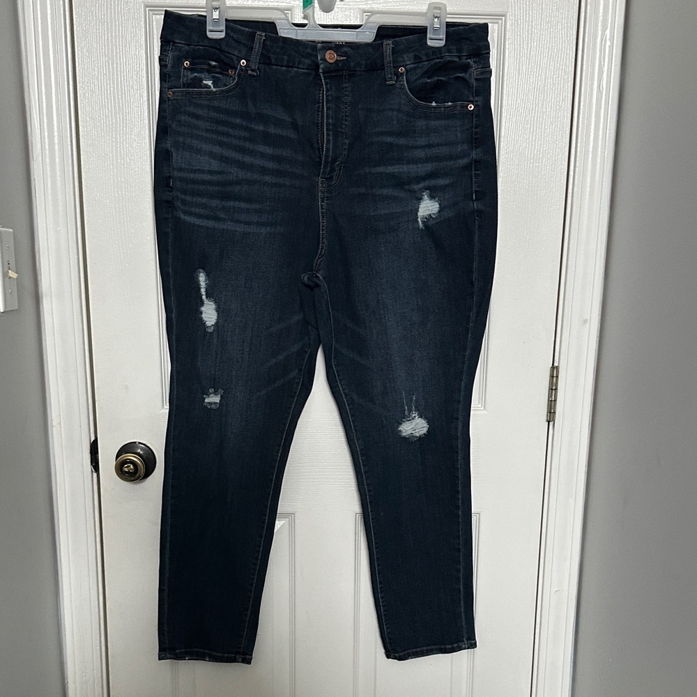 Plus Size Dark Wash Distressed Skinny Jeans